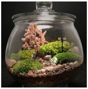 Terrarium, Taman Mini yang Bisa Bikin Pikiran Kita Lebih Bahagia dan Mudah Konsentrasi